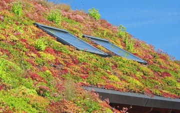 Pinner living roof systems